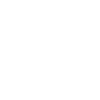 Google+ icon